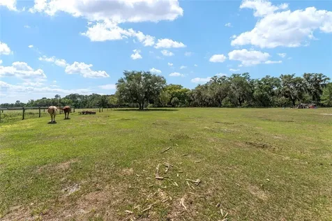 15120 SE 85th Street Ocklawaha FL 32179
