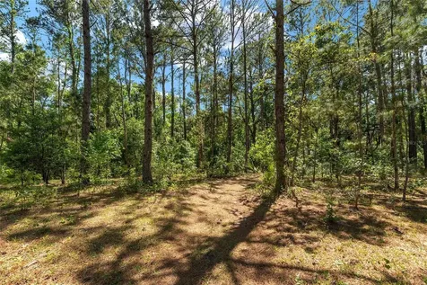 15120 SE 85th Street Ocklawaha FL 32179