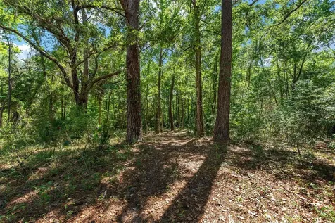 15120 SE 85th Street Ocklawaha FL 32179