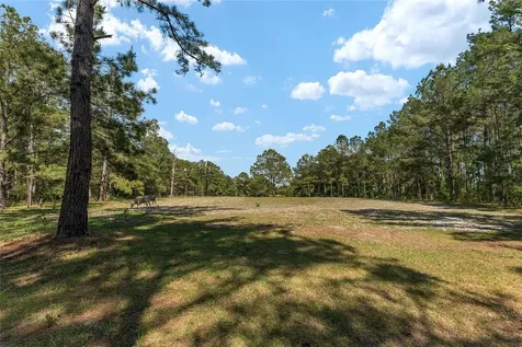 15120 SE 85th Street Ocklawaha FL 32179
