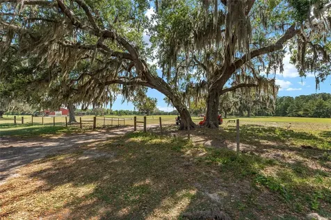 15120 SE 85th Street Ocklawaha FL 32179