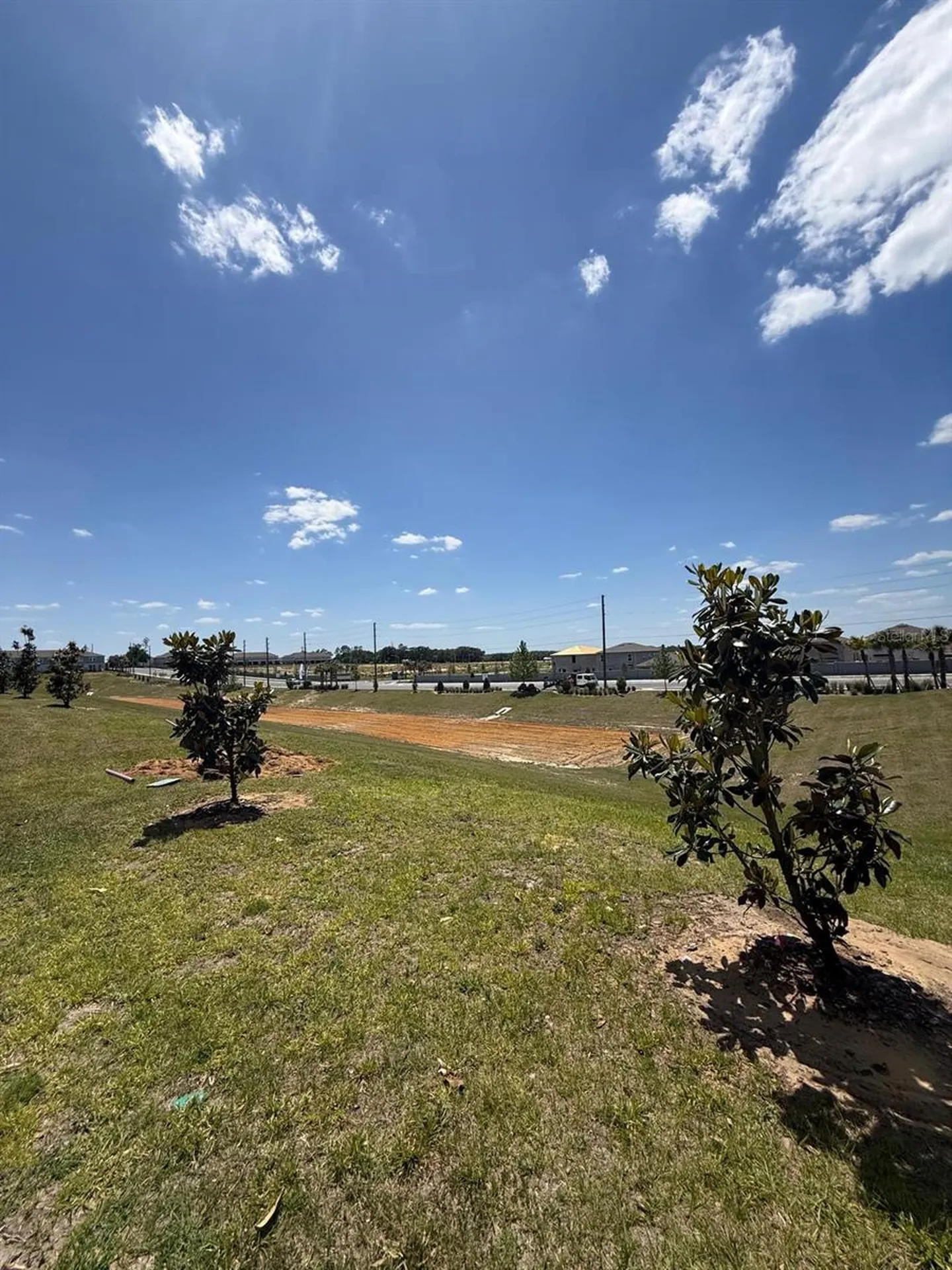 1419 Plank Place Davenport FL 33837