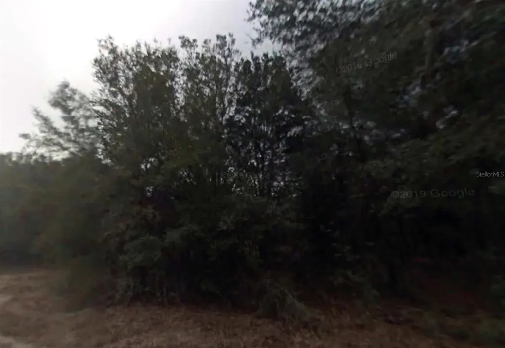 614 Longwood Avenue Inverness FL 34453