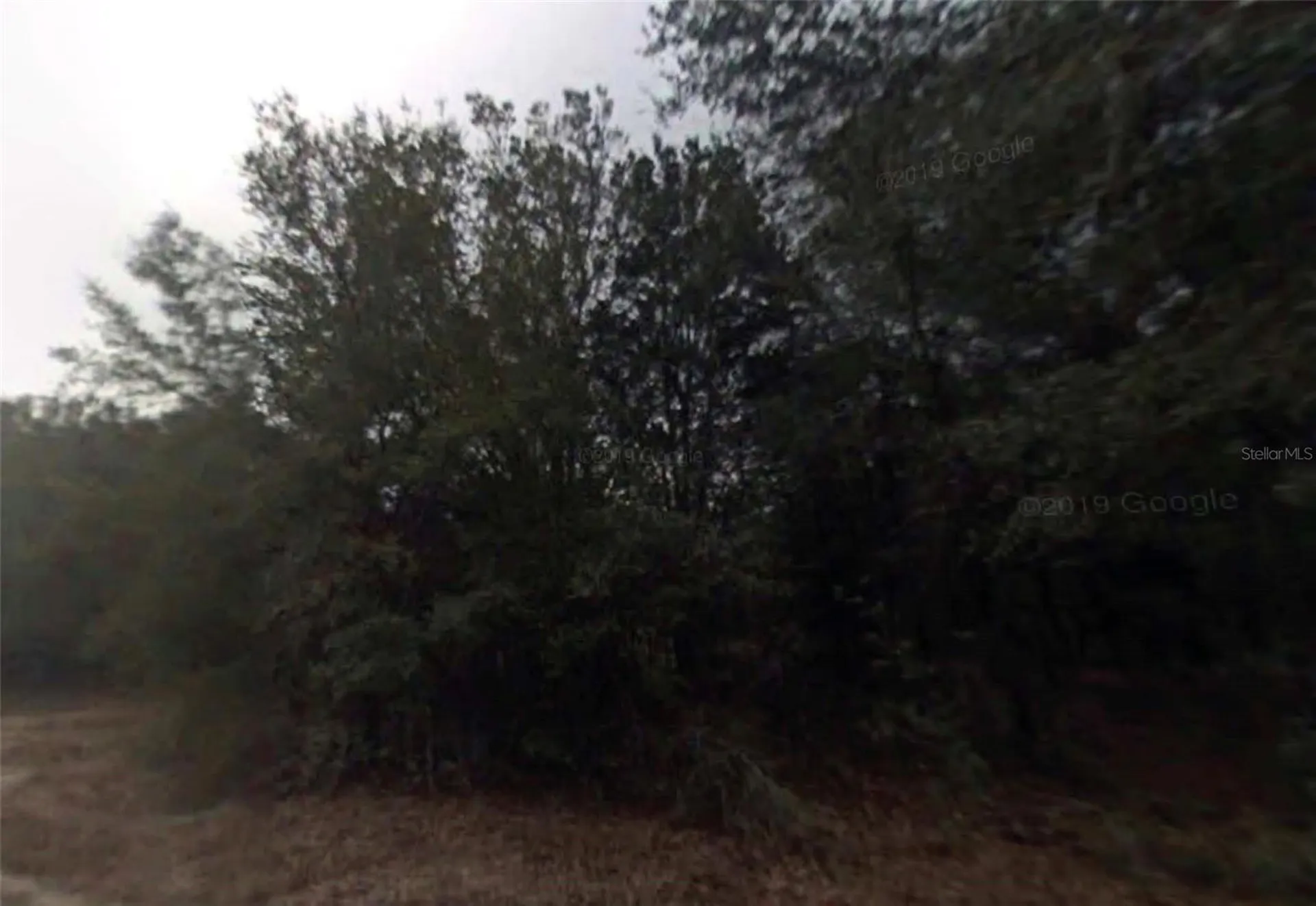 614 Longwood Avenue Inverness FL 34453