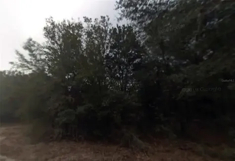 614 Longwood Avenue Inverness FL 34453