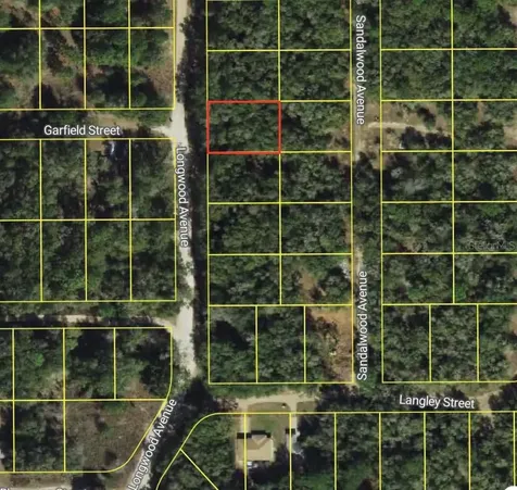 614 Longwood Avenue Inverness FL 34453