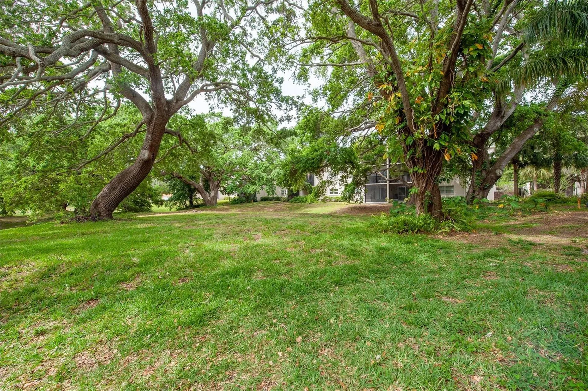 845 Maple Court Dunedin FL 34698