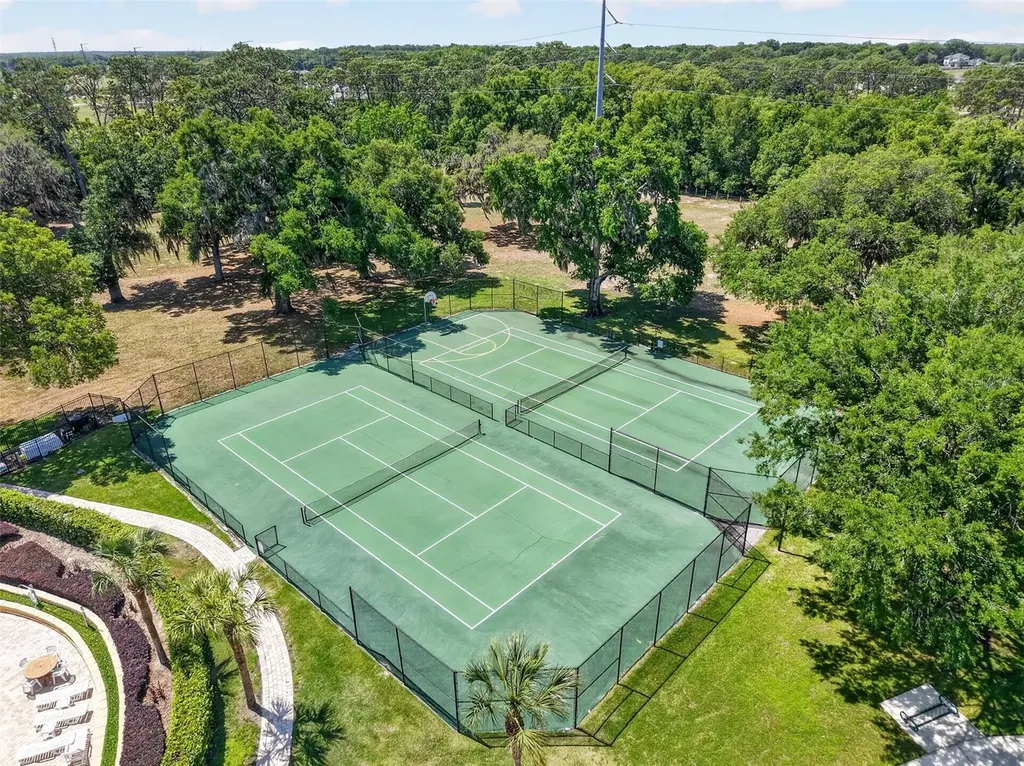 34040 Alameda Drive Sorrento FL 32776