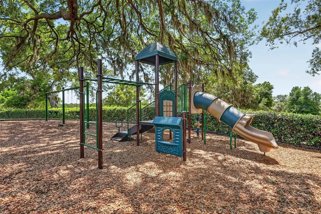 34040 Alameda Drive Sorrento FL 32776