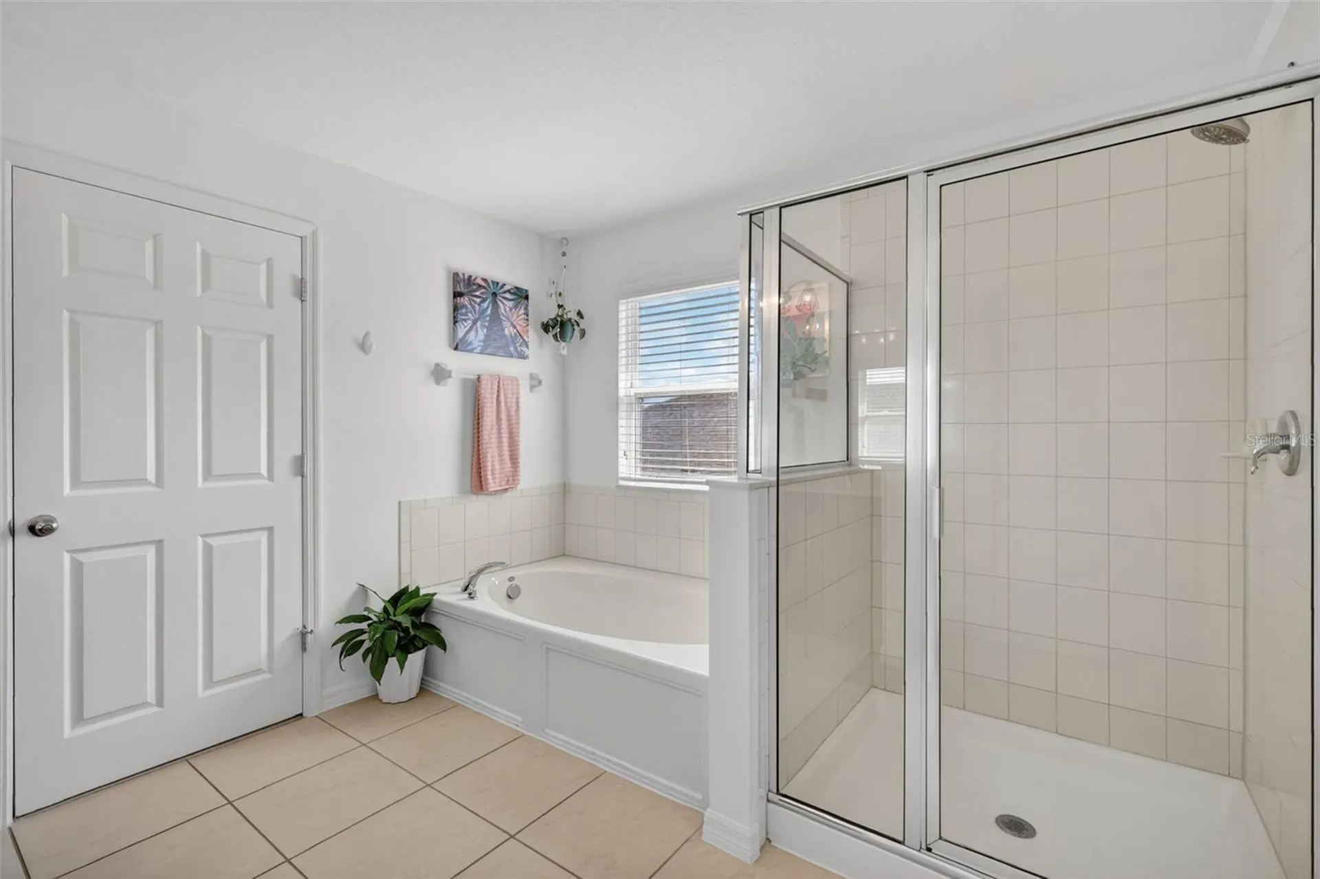 34040 Alameda Drive Sorrento FL 32776