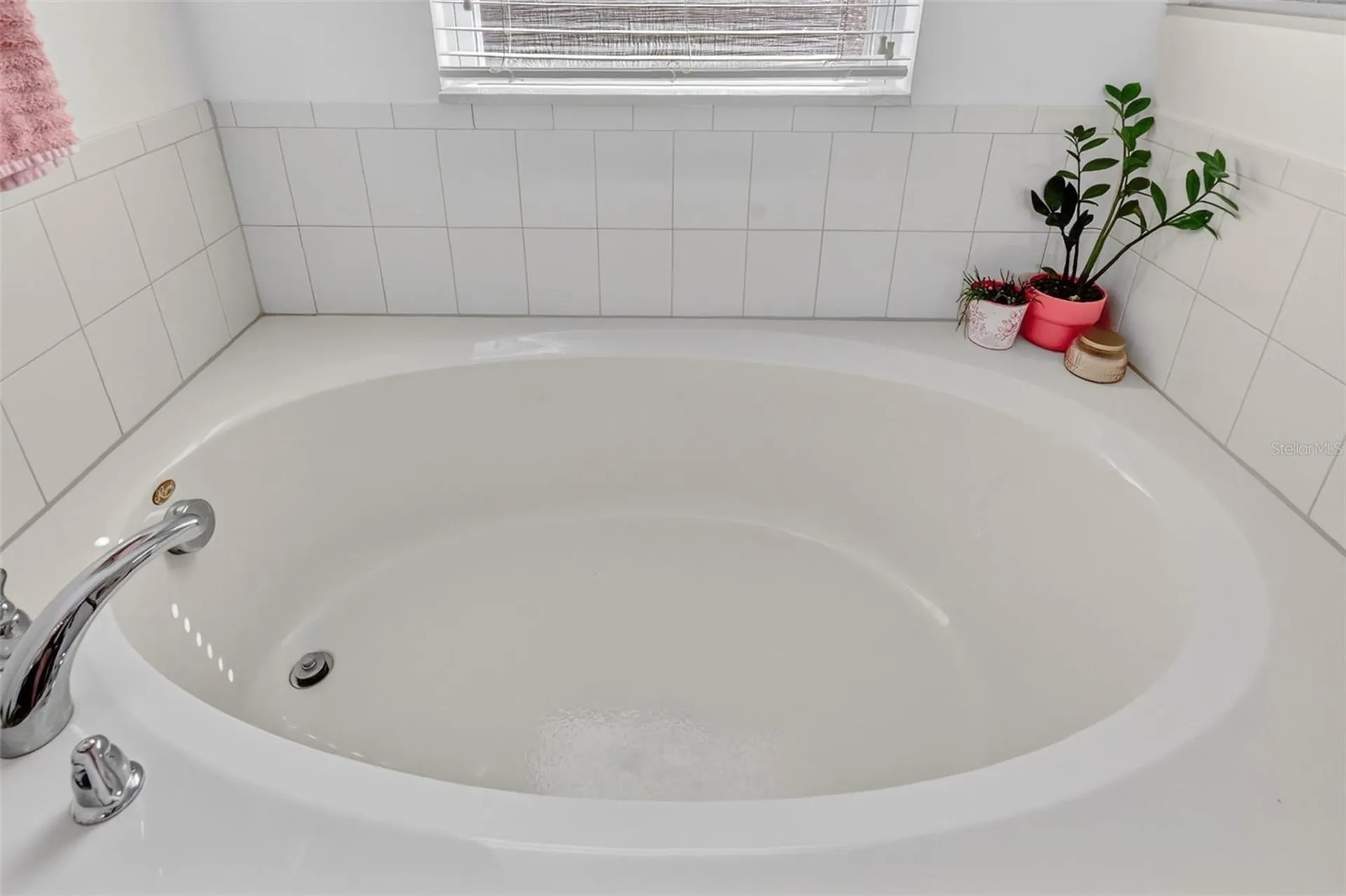 34040 Alameda Drive Sorrento FL 32776