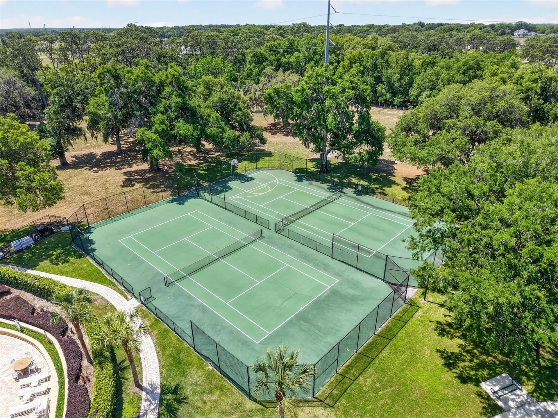 34040 Alameda Drive Sorrento FL 32776