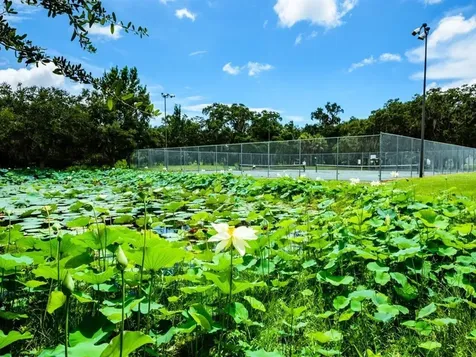 2120 Robinson Avenue Sarasota FL 34232