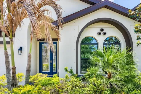 12822 Satin Lily Drive Riverview FL 33579