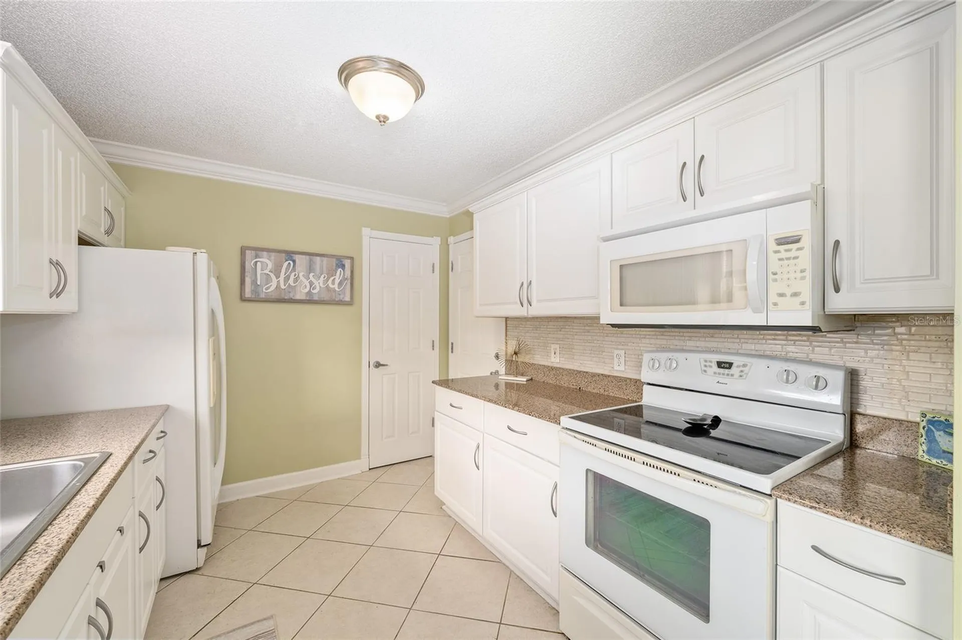 966 Avalon Avenue The Villages FL 32159