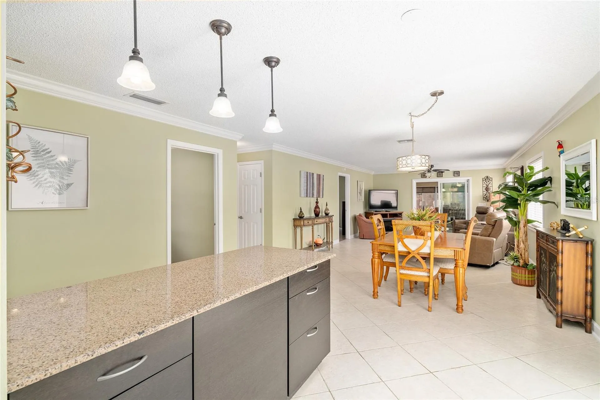 966 Avalon Avenue The Villages FL 32159