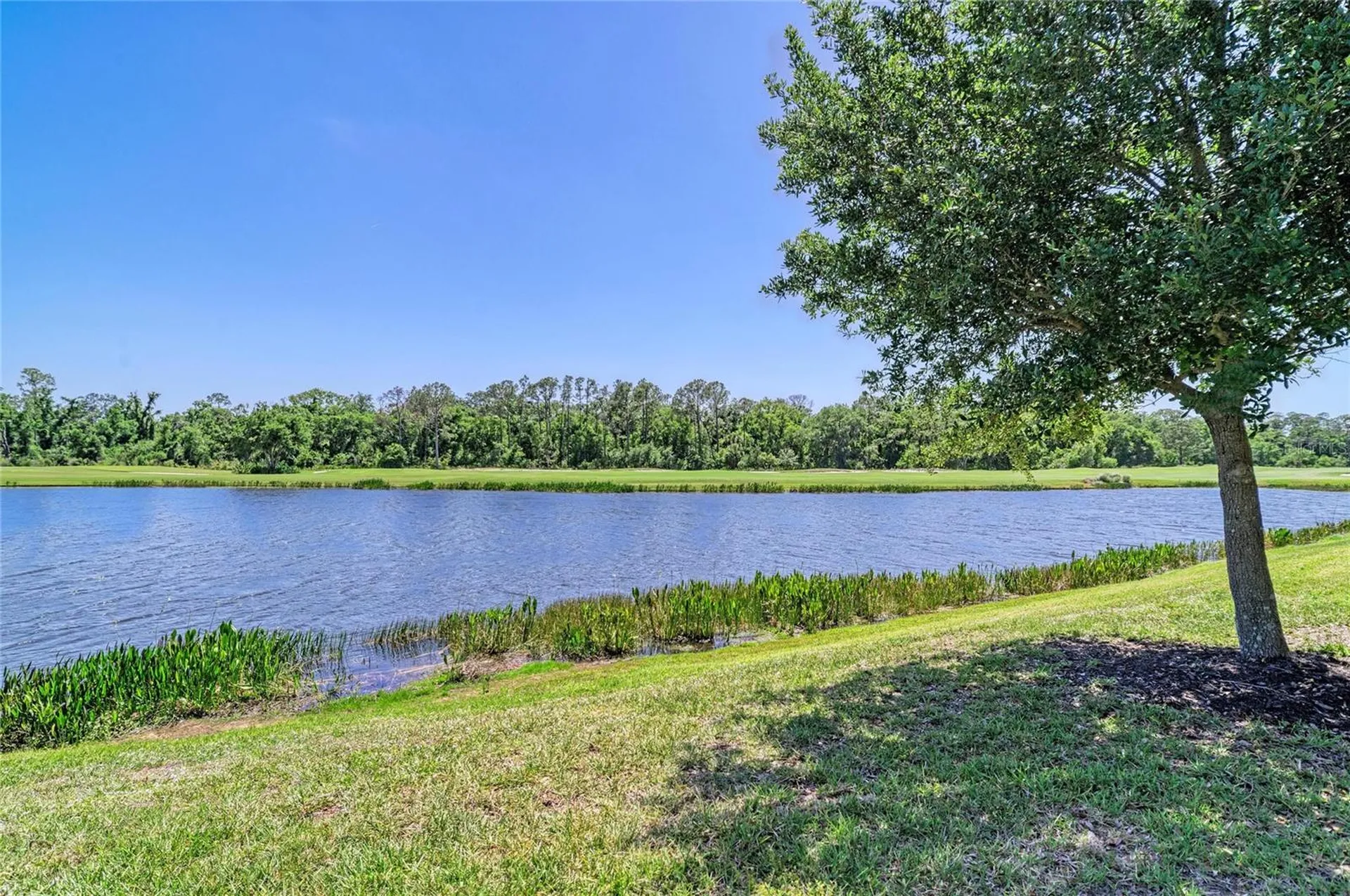 17520 Gawthrop Drive Lakewood Ranch FL 34211