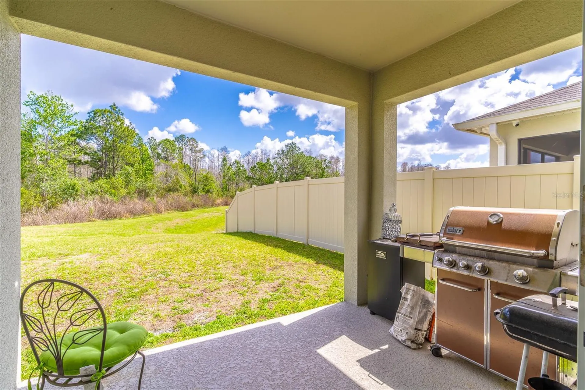 1419 Fox Squirrel Drive Davenport FL 33897