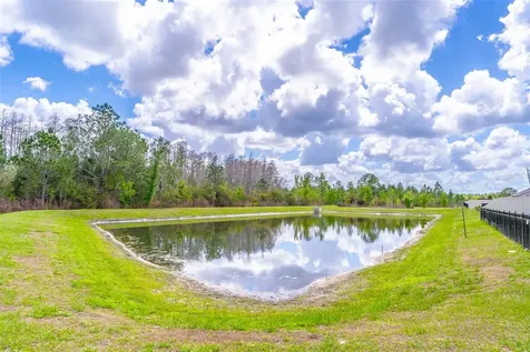 1419 Fox Squirrel Drive Davenport FL 33897