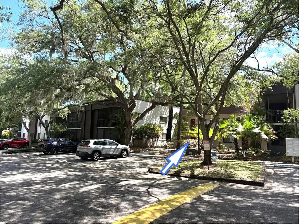 11715 Raintree Village Boulevard Temple Terrace FL 33617