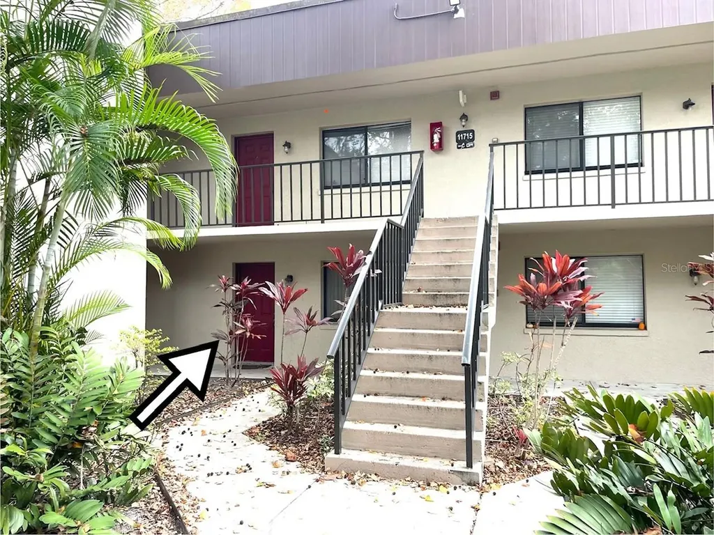 11715 Raintree Village Boulevard Temple Terrace FL 33617