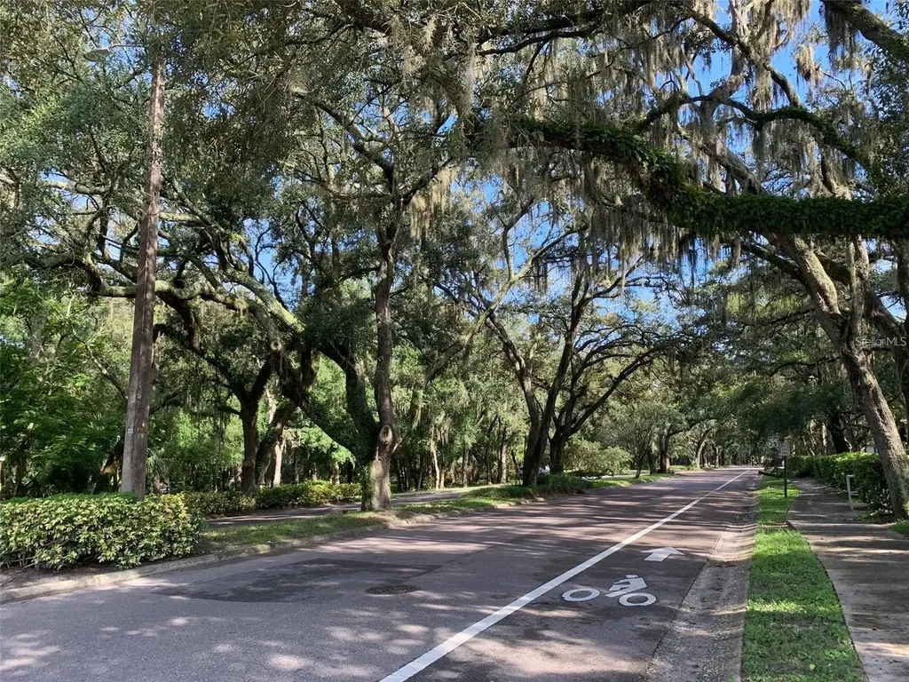 11715 Raintree Village Boulevard Temple Terrace FL 33617