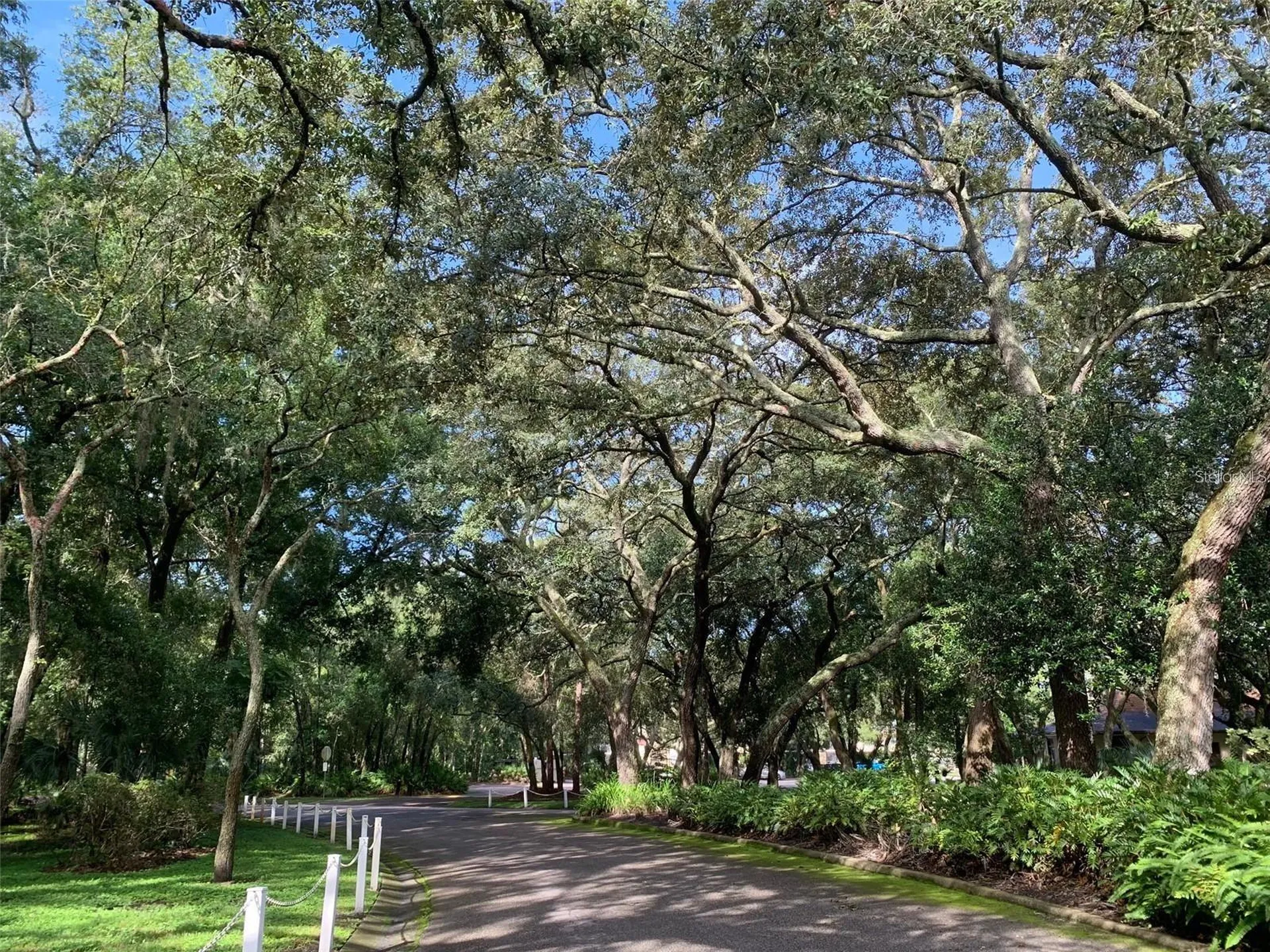 11715 Raintree Village Boulevard Temple Terrace FL 33617