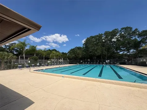 11715 Raintree Village Boulevard Temple Terrace FL 33617