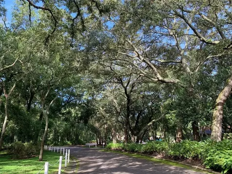 11715 Raintree Village Boulevard Temple Terrace FL 33617