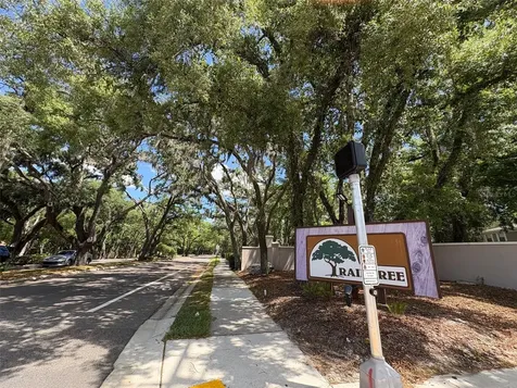 11715 Raintree Village Boulevard Temple Terrace FL 33617