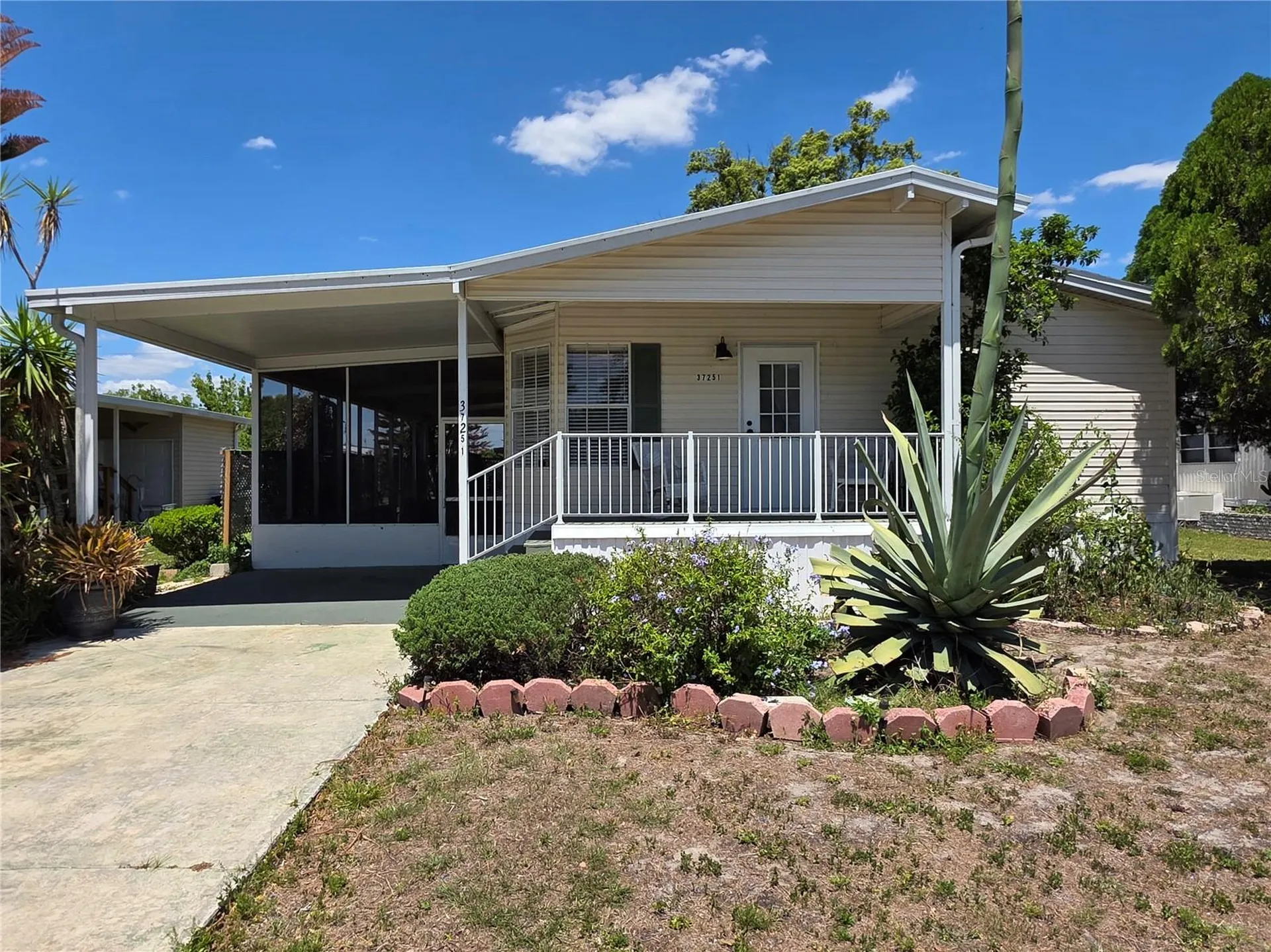 37251 Lois Avenue Zephyrhills FL 33542