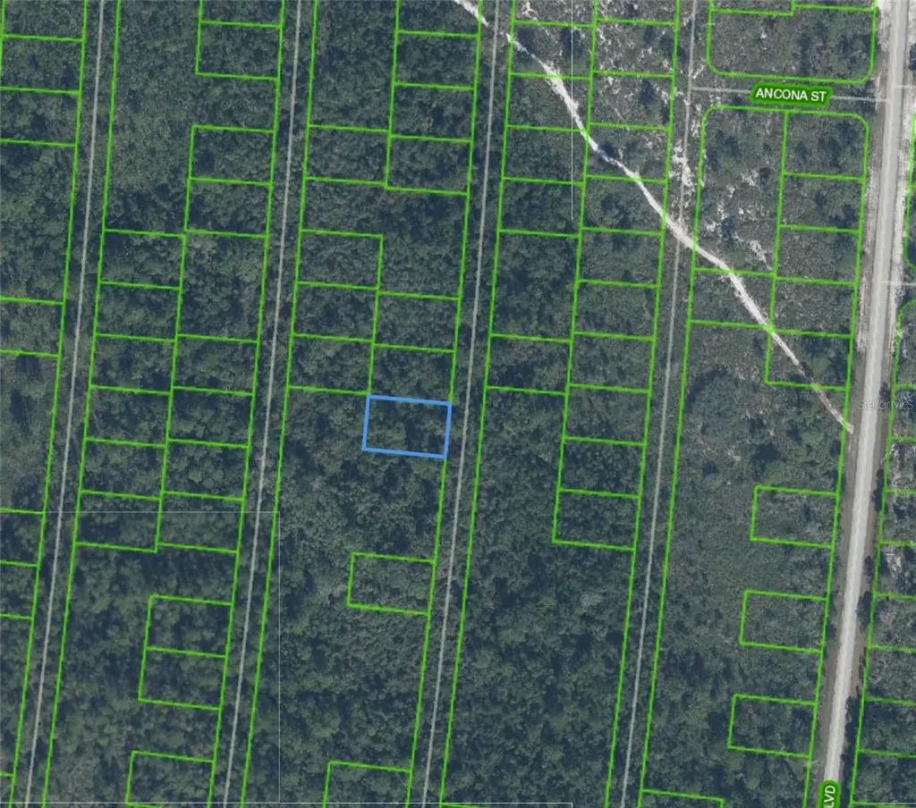 6593 Palancia Drive Sebring FL 33872