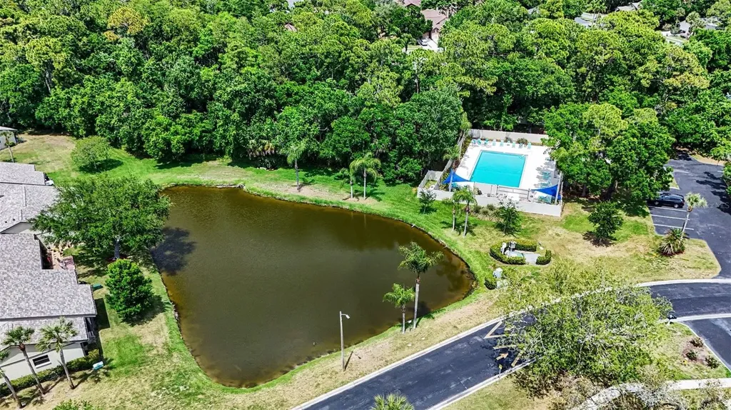 10 Lesley Lane Oldsmar FL 34677