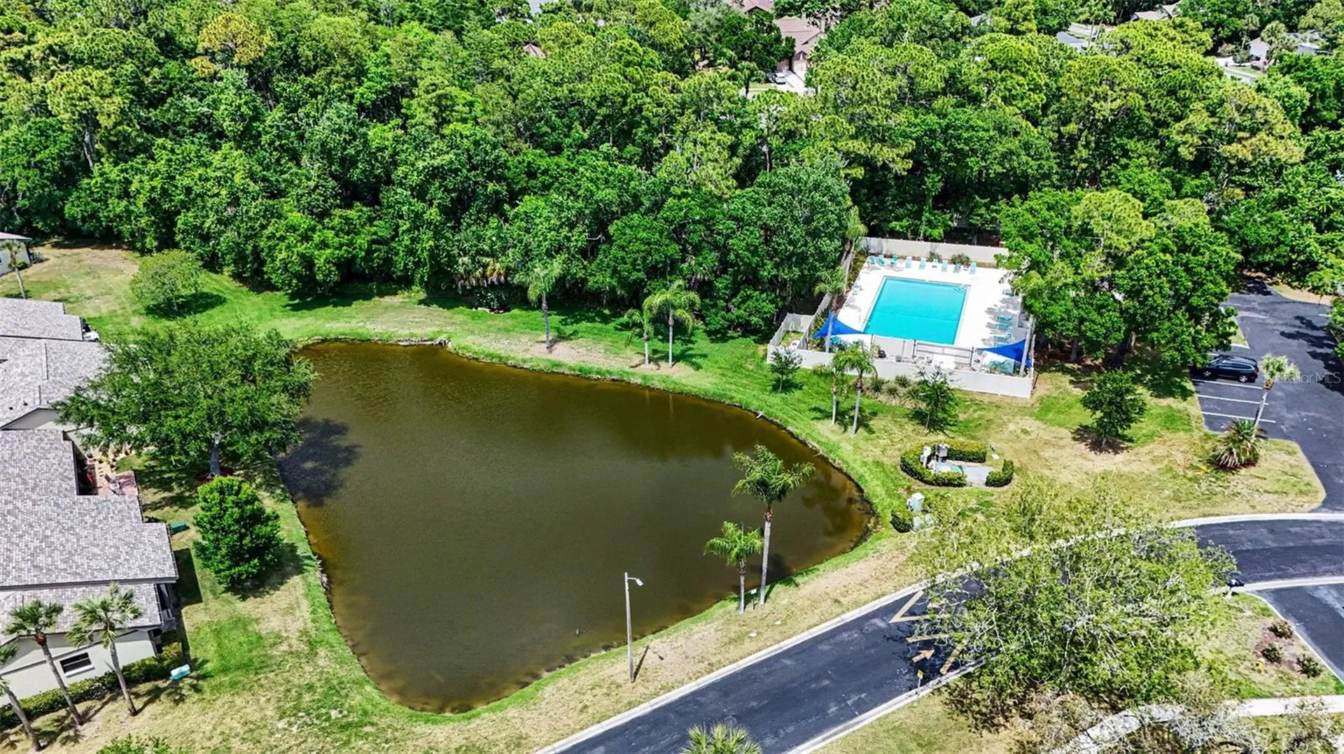 10 Lesley Lane Oldsmar FL 34677