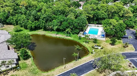 10 Lesley Lane Oldsmar FL 34677