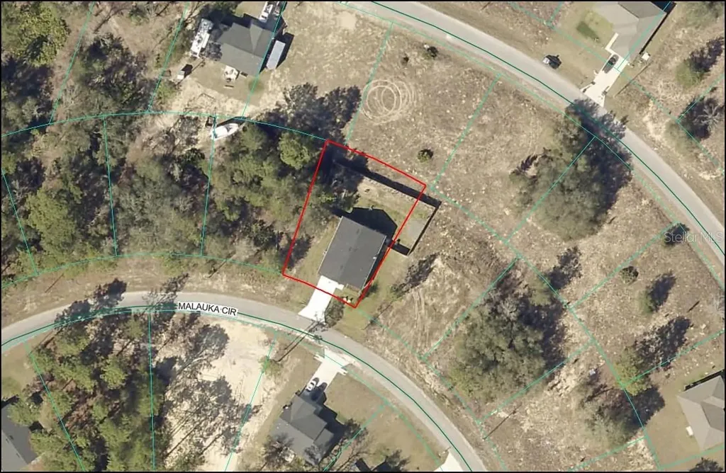 15 Malauka Circle Ocklawaha FL 32179
