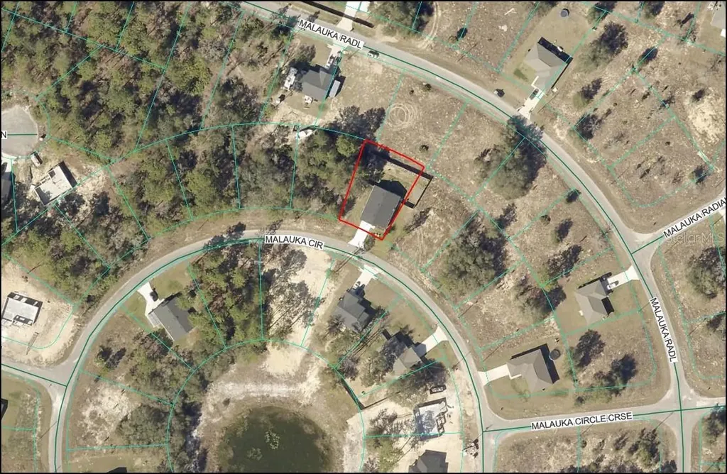 15 Malauka Circle Ocklawaha FL 32179