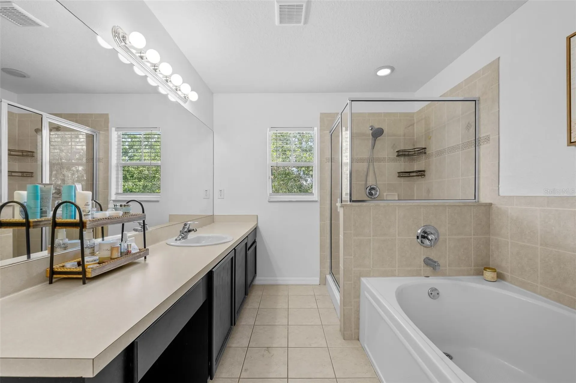 8519 Broken Willow Court Tampa FL 33647