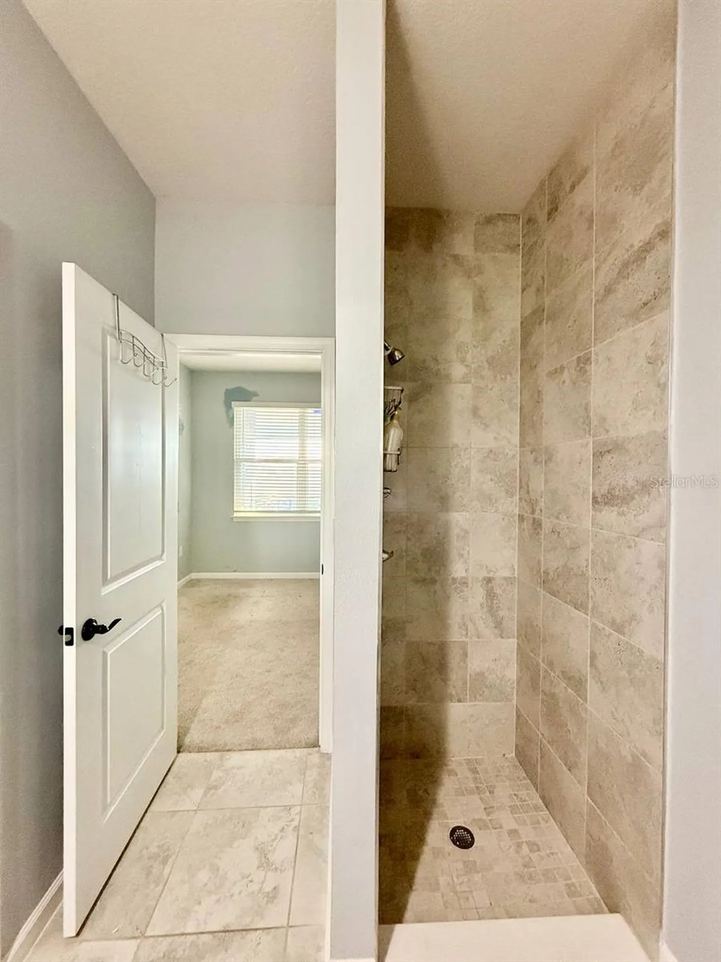12258 Blue Pacific Drive Riverview FL 33579
