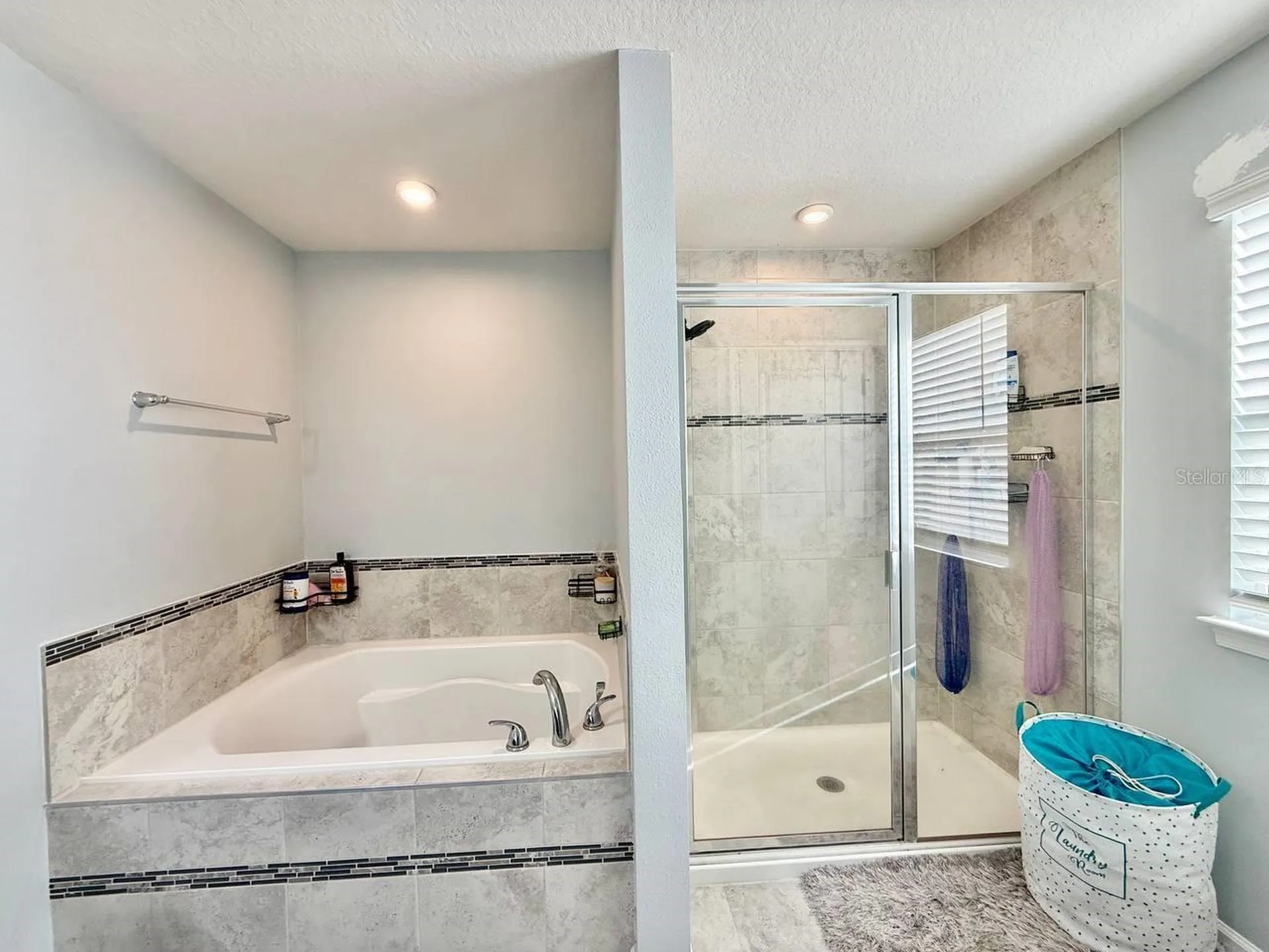 12258 Blue Pacific Drive Riverview FL 33579