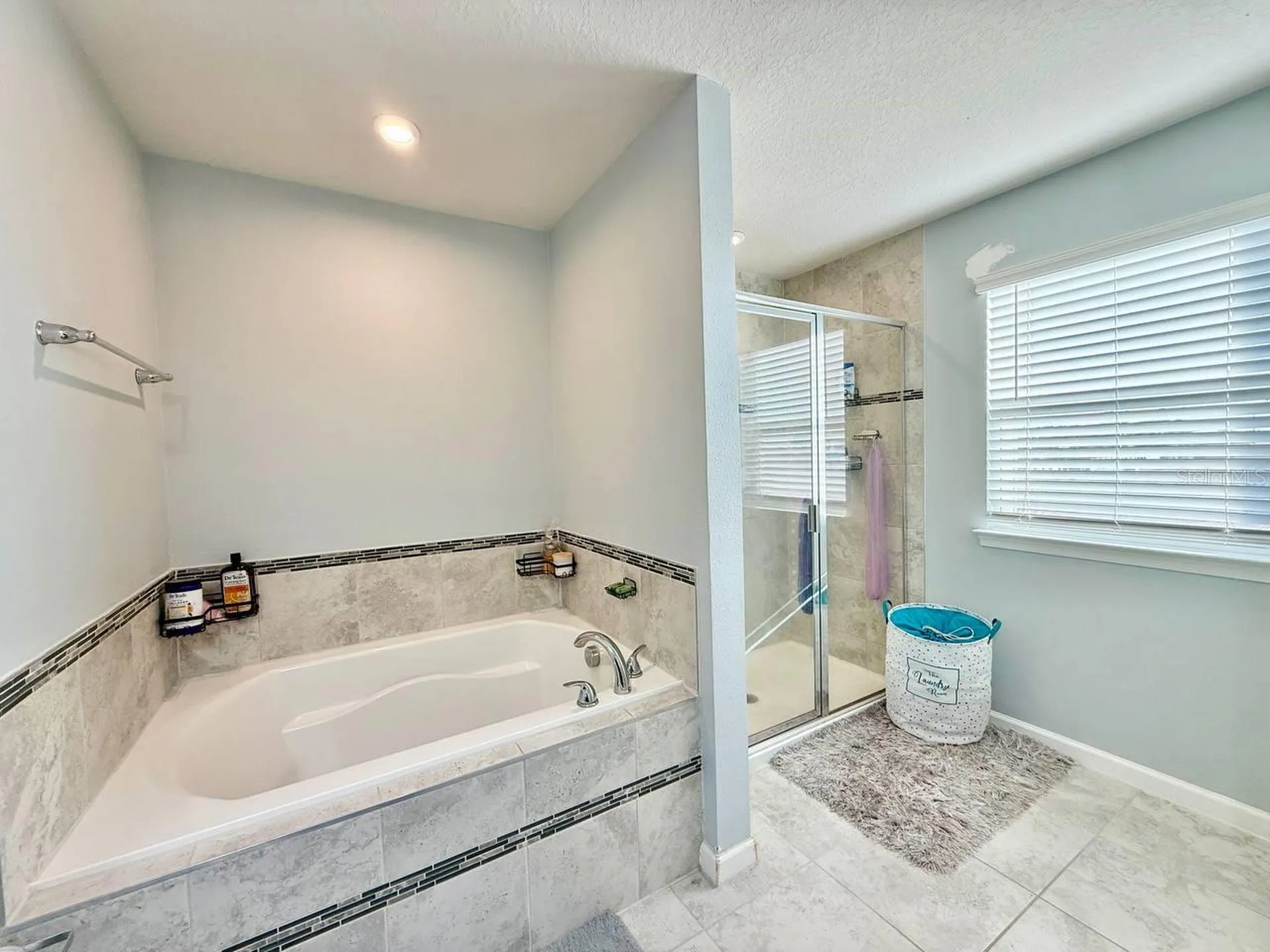 12258 Blue Pacific Drive Riverview FL 33579