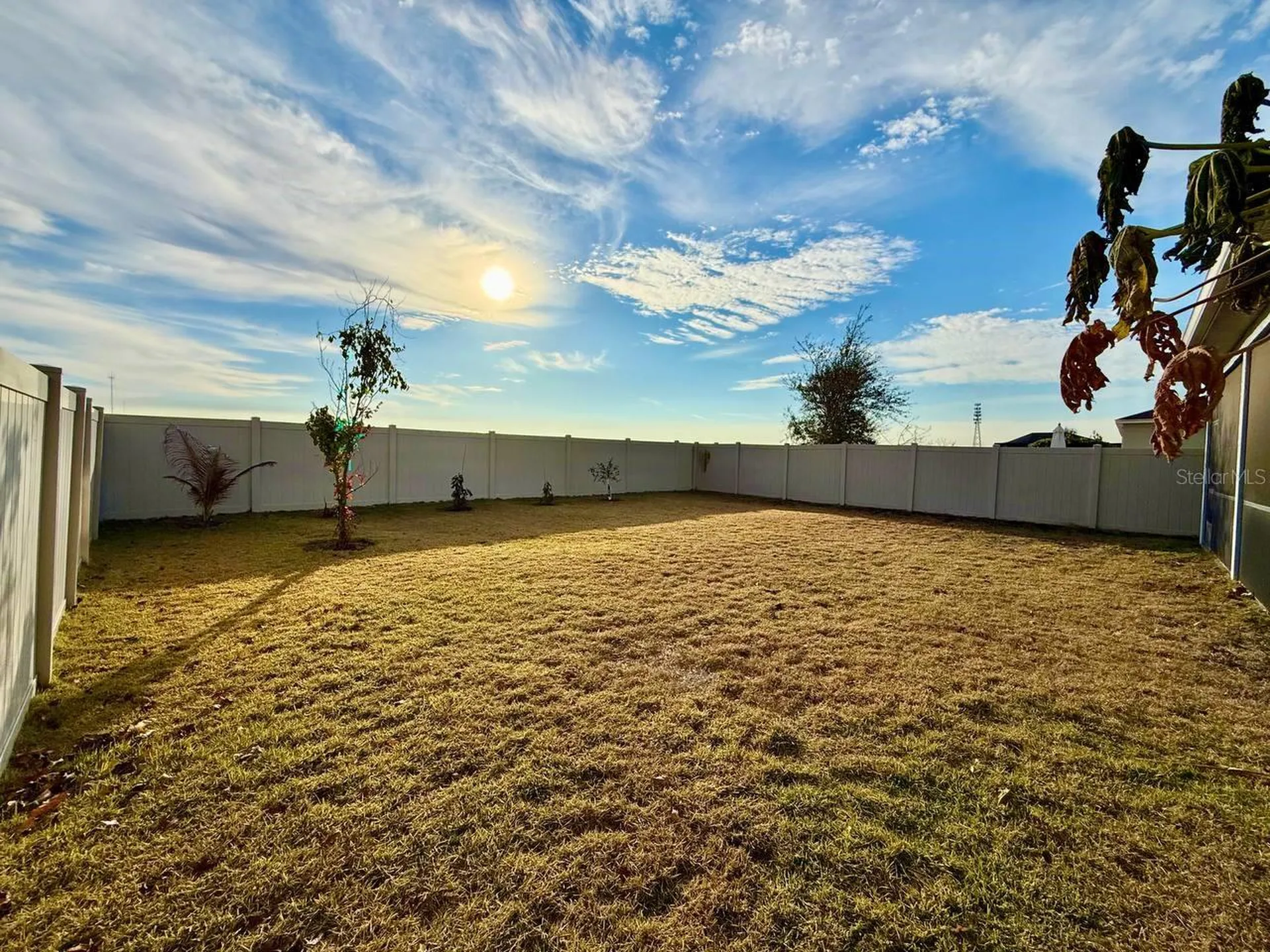 12258 Blue Pacific Drive Riverview FL 33579