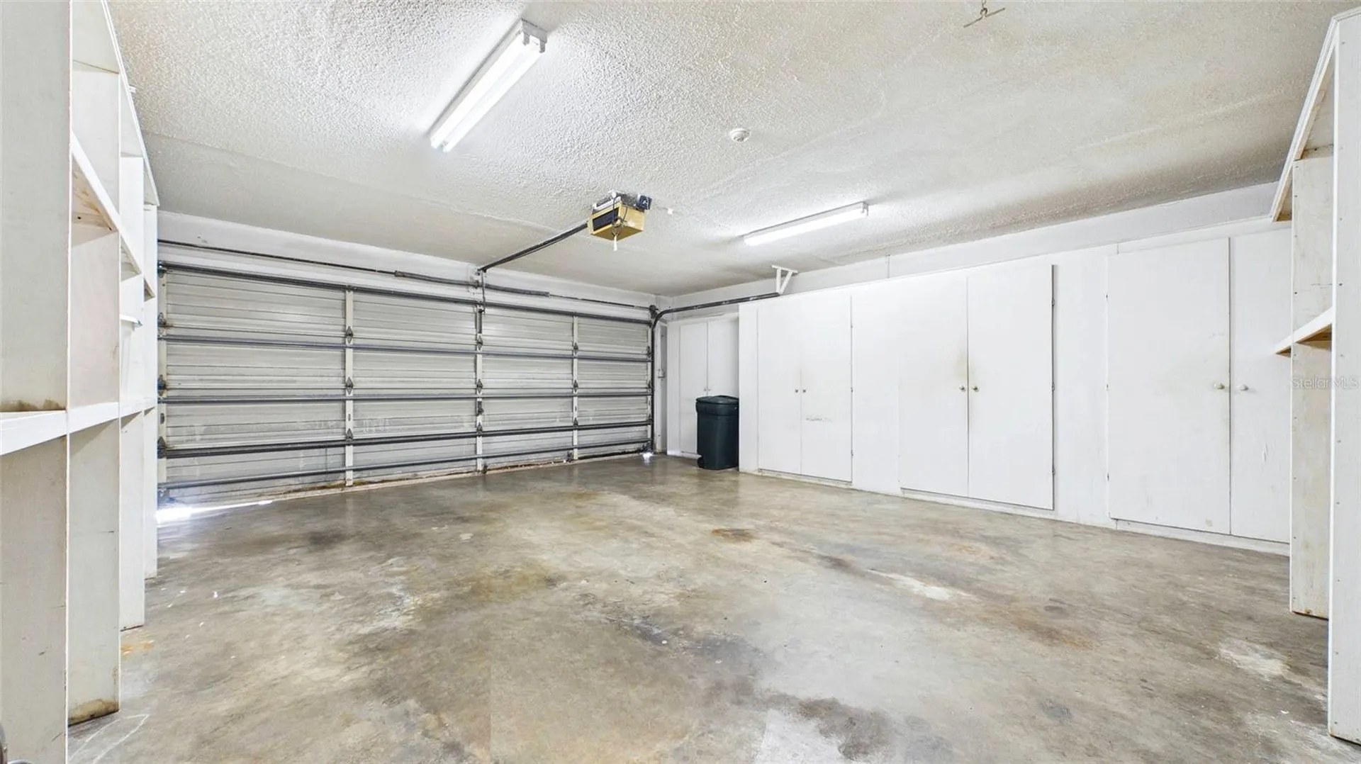 1116 N Riverhills Drive Temple Terrace FL 33617