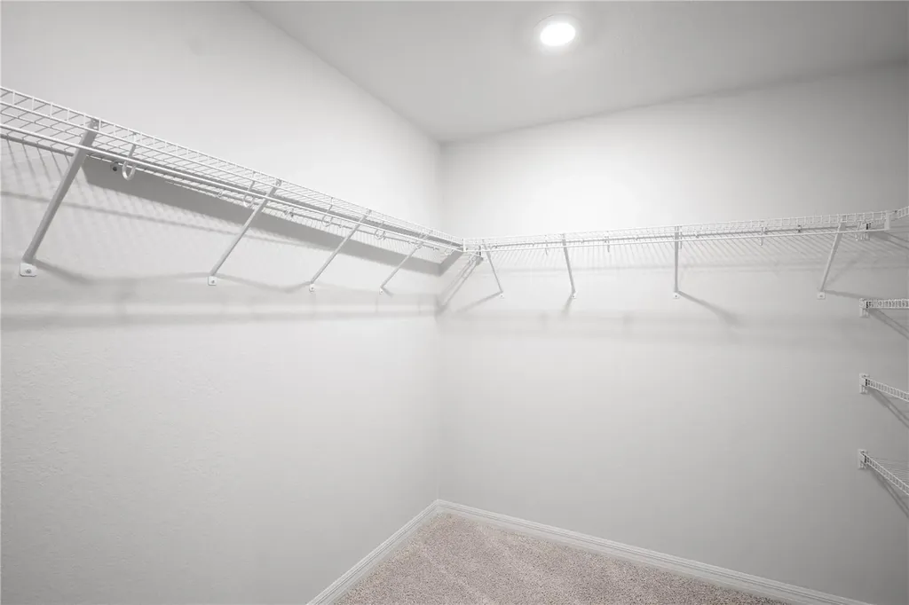 6058 Mangrove Creek Road Wimauma FL 33598