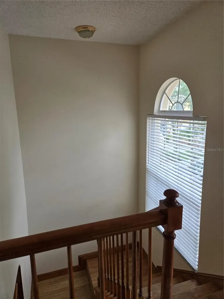 728 Burlwood Street Brandon FL 33511