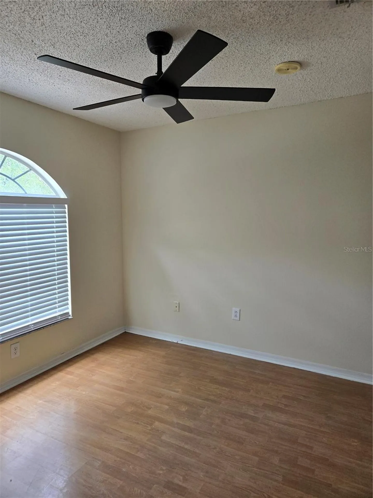 728 Burlwood Street Brandon FL 33511