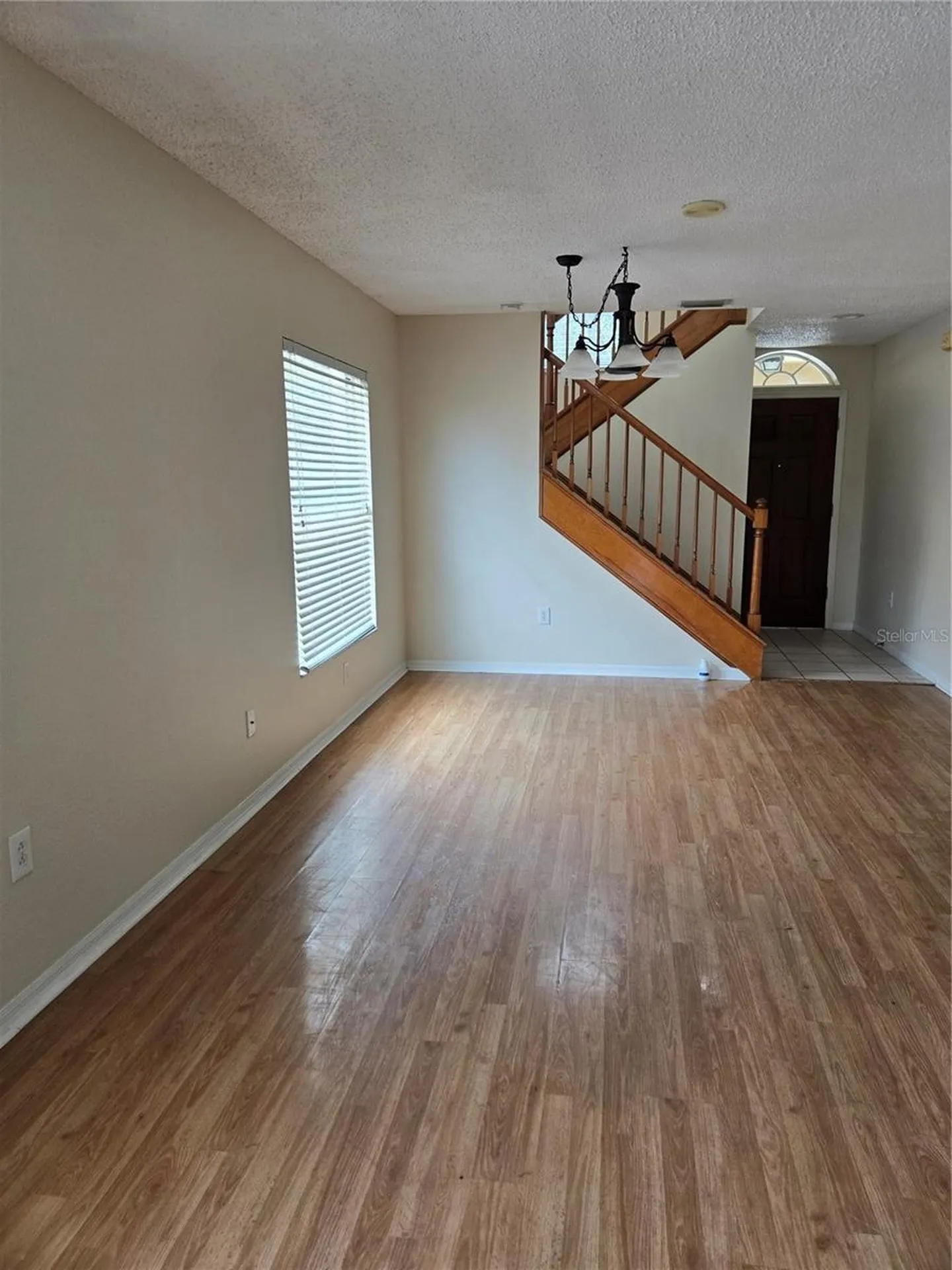 728 Burlwood Street Brandon FL 33511