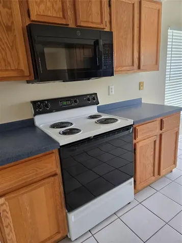 728 Burlwood Street Brandon FL 33511