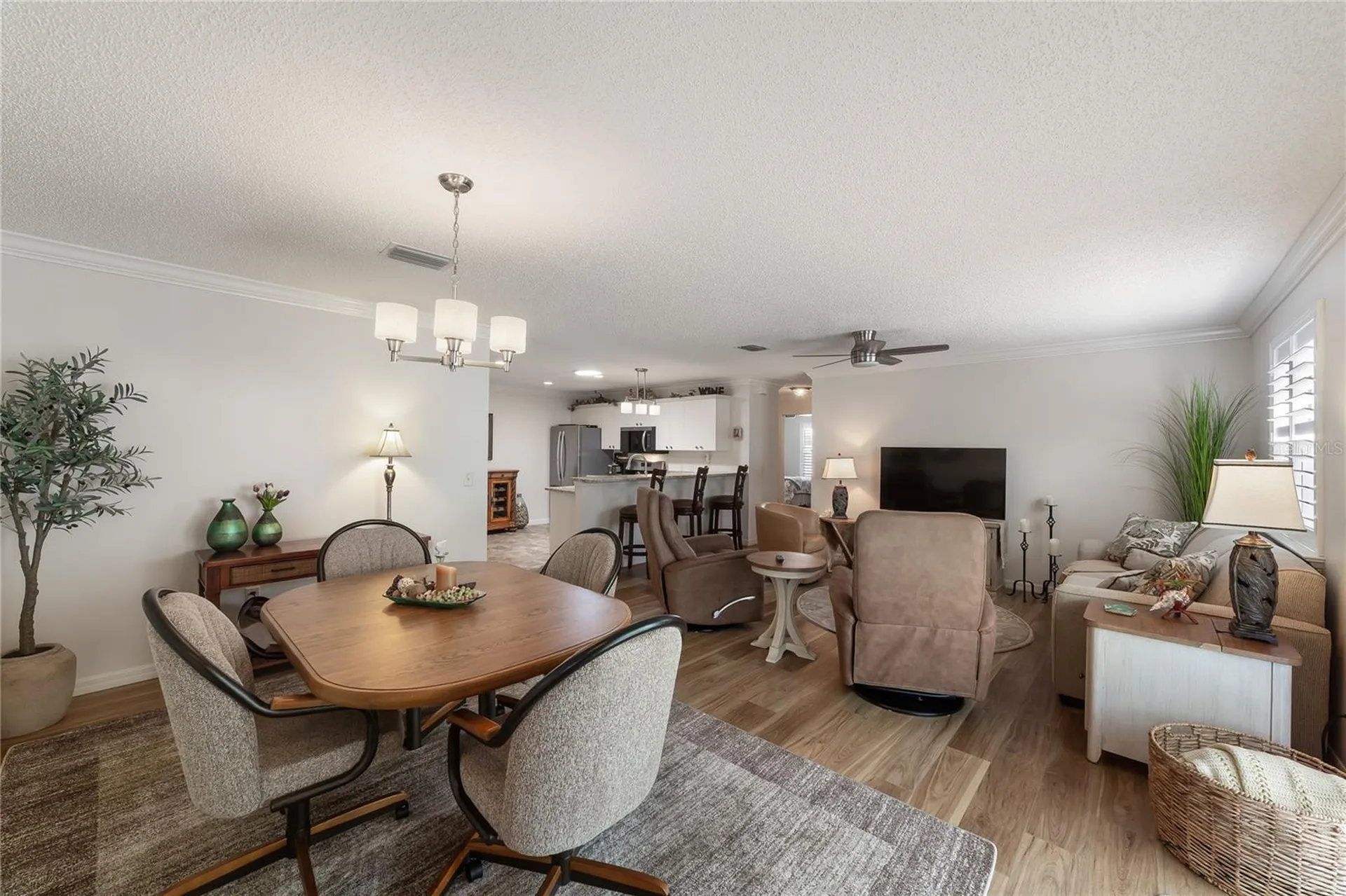 2427 Southern Oak Street The Villages FL 32162