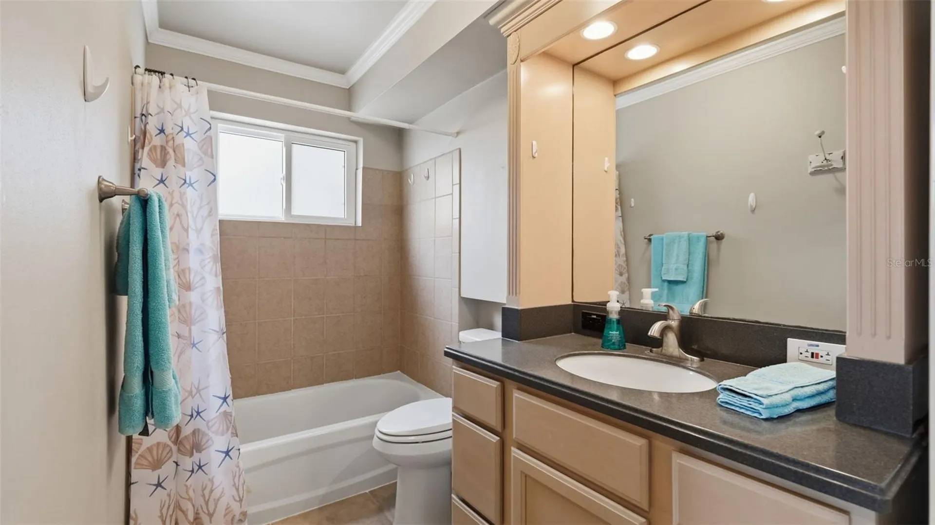 1101 Victoria Drive Dunedin FL 34698